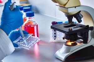Successor to PD-1 inhibitors the focus of cancer immunotherapy