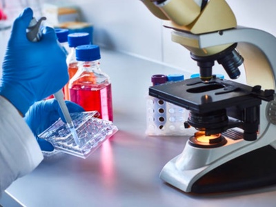 Successor to PD-1 inhibitors the focus of cancer immunotherapy