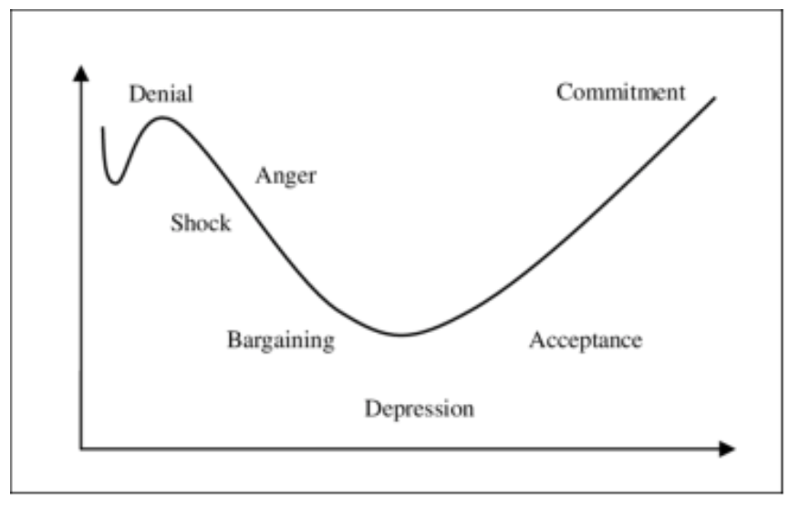 Figure 1. Kübler-Ross Change Curve