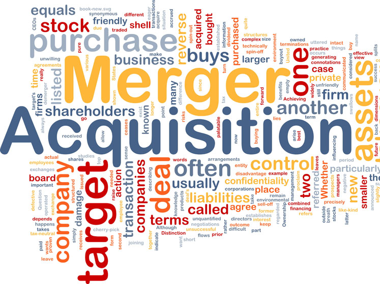 Supporting M&A in the pharmaceutical/biopharmaceutical industry