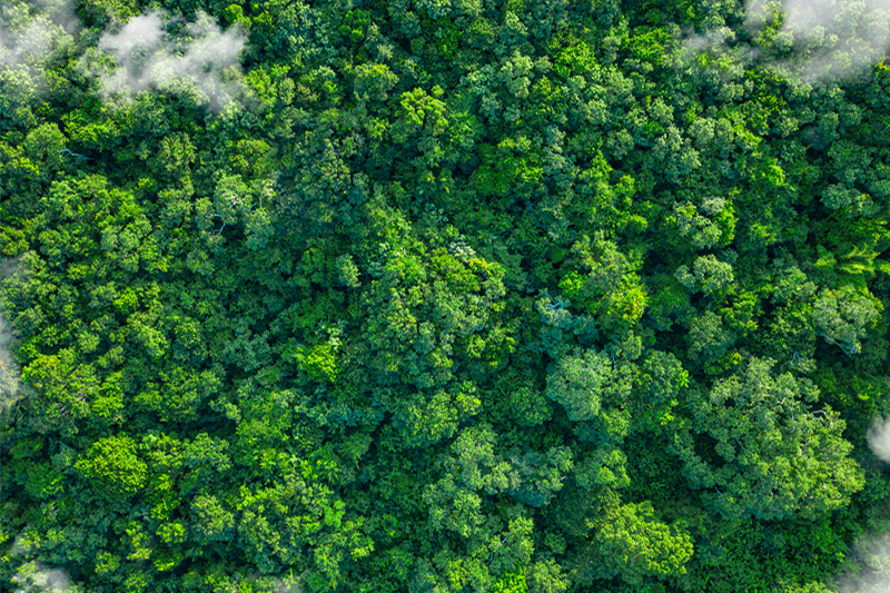 Sustainability that performs: how GEA is building a better future for pharma