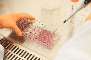 Swedish SenzaGen teams up with Chinese animal-free testing specialist