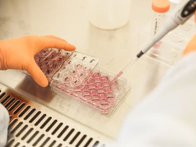 Swedish SenzaGen teams up with Chinese animal-free testing specialist