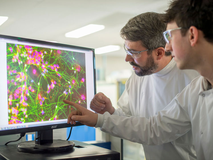 Sygnature Discovery invests £3.75m in compound management to provide cutting-edge hit finding capabilities