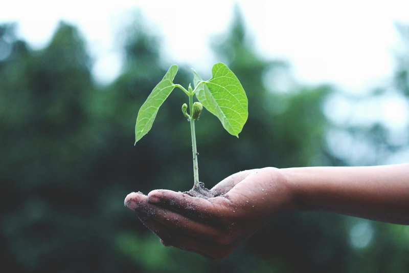 Syngene achieves silver EcoVadis sustainability rating