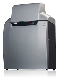 Syngene G:BOX simplifies gel or blot imaging