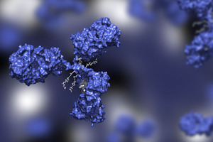 Syngene International plans to add bioconjugation suite for end-to-end antibody-drug conjugates development