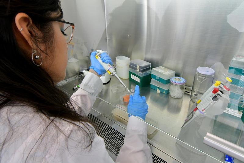 Syngene launches platform for rapid, enhanced protein production