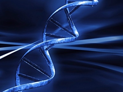 Synpromics and Solid Biosciences gene therapy research partnership