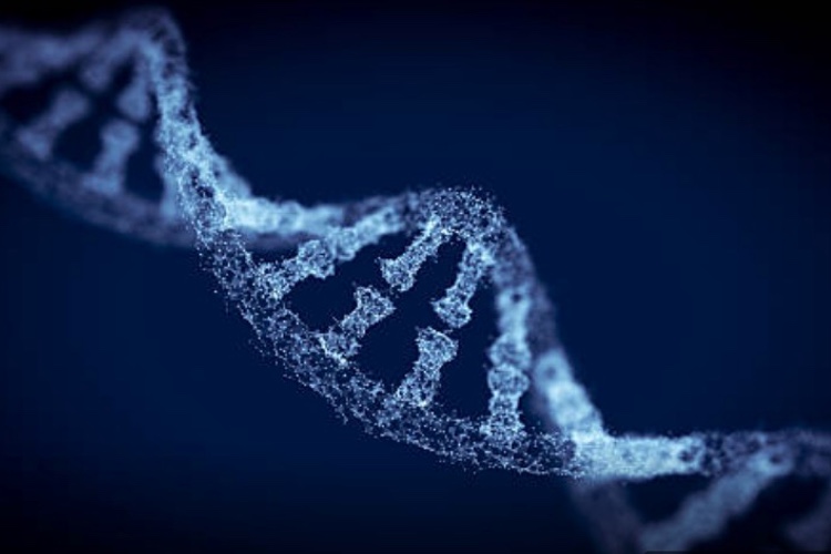 Synpromics receives £1.9m grant from Scottish Enterprise