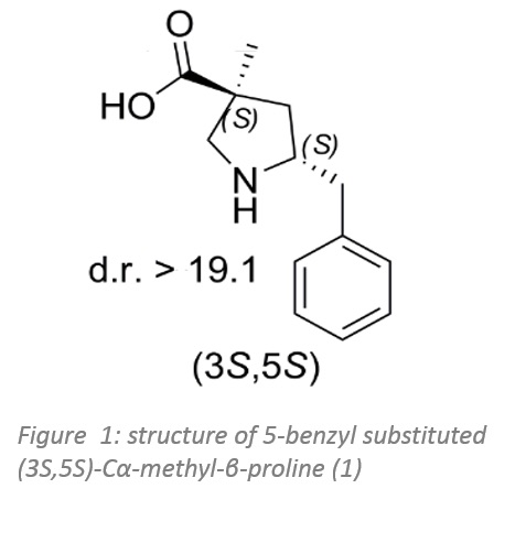 Synthetic approaches with Enzymicals recombinant pig liver esterases 