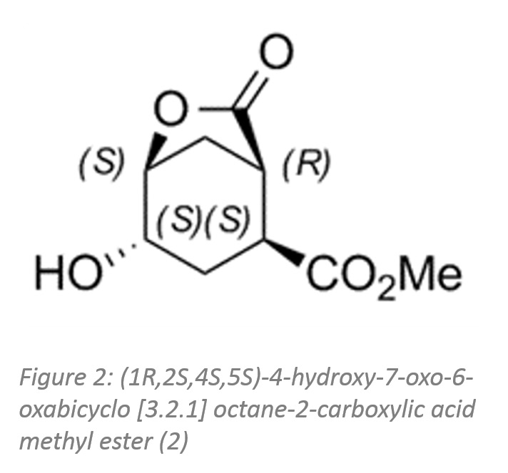 Synthetic approaches with Enzymicals recombinant pig liver esterases 