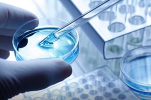 Synthetic biologists can now create novel vector constructs