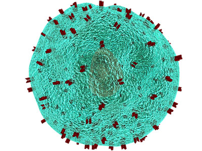 T-knife and Catalent Sign to collaborate on autologous T-cell receptor-based cell therapy