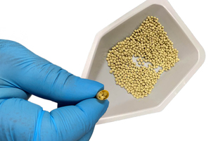 Tablet-in-capsule technology: a versatile platform for complex oral solid dose development
