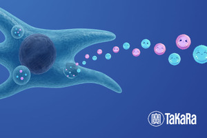 Takara Bio launches Cellartis MSC EV Wonder: a defined, xeno-free medium for high-yield EV production