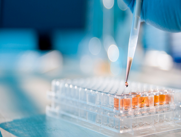 Takeda to evaluate Aptamer Group reagents for drug development
