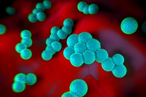 Taking up the fight against drug-resistant bacteria