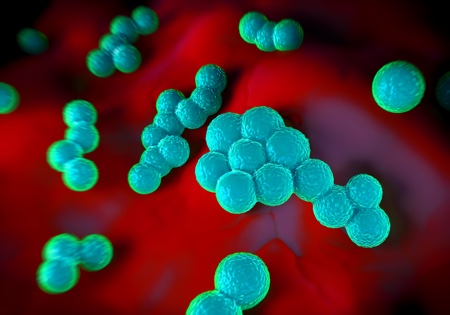 Taking up the fight against drug-resistant bacteria