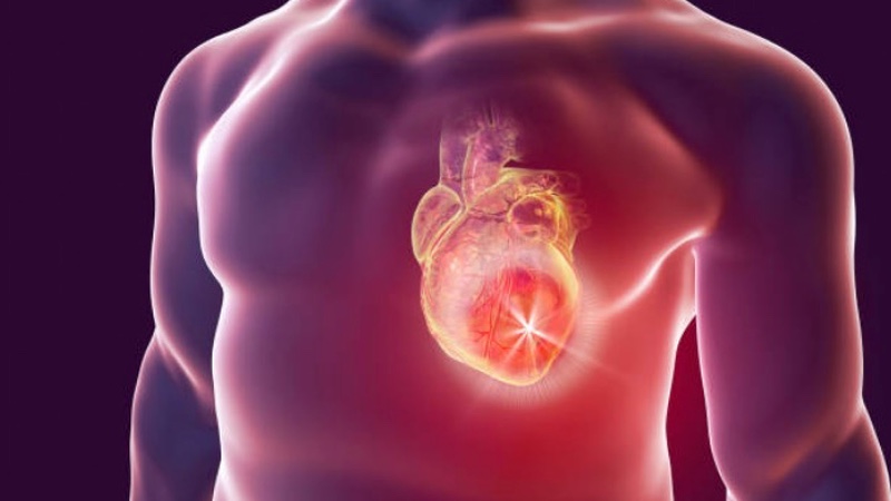 Targeting gut microbes to reduce cardiovascular risk
