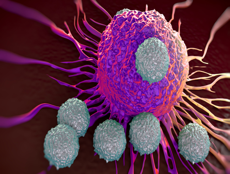 Terumo and PhotonPharma collaborate on cancer immunotherapy 