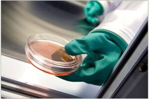 Testing facility called “game changer” in regenerative medicine