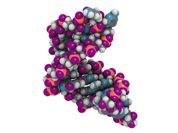 The analytics advancements driving mRNA breakthroughs