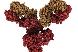 The art of the antibody curator
