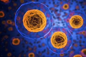 The basics of cell culture