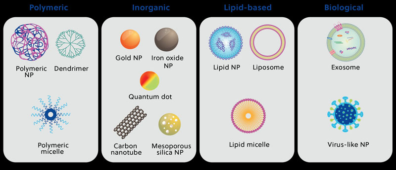 The nano revolution: pioneering the next frontier in drug delivery systems
