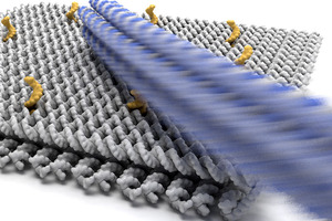 The nano revolution: pioneering the next frontier in drug delivery systems