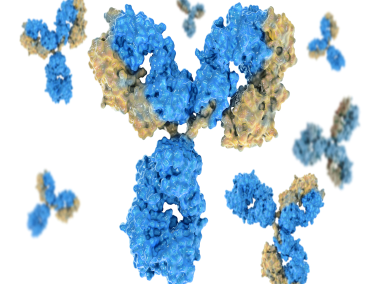 The Native Antigen Company launches SARS-CoV-2 antibodies