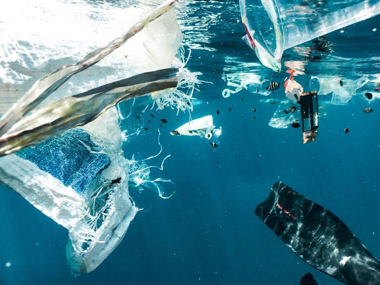 The pandemic and plastic
