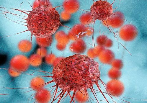 The right tool for the job: selecting appropriate protein detection and visualisation methods