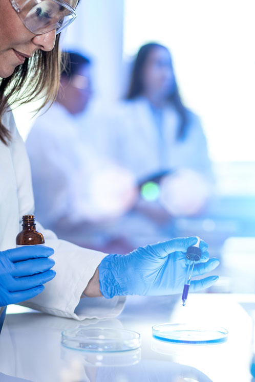 The roadmap to success in the cannabinoid drug development journey