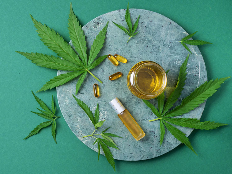 The roadmap to success in the cannabinoid drug development journey