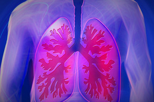 The supply chain forum: four pillars of capsule-based dry powder inhaler (cDPI) optimisation (part II)