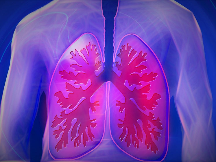 The supply chain forum: four pillars of capsule-based dry powder inhaler (cDPI) optimisation (part II)