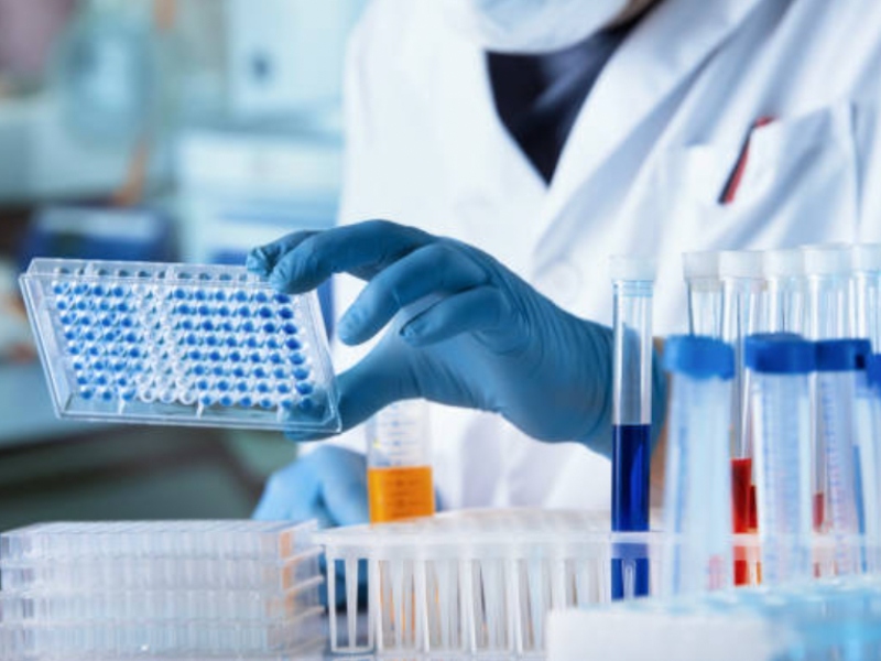 Timber Pharmaceuticals receives EC orphan drug designation