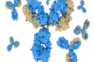 Touchlight and Vanderbilt University collaborate on pandemic response