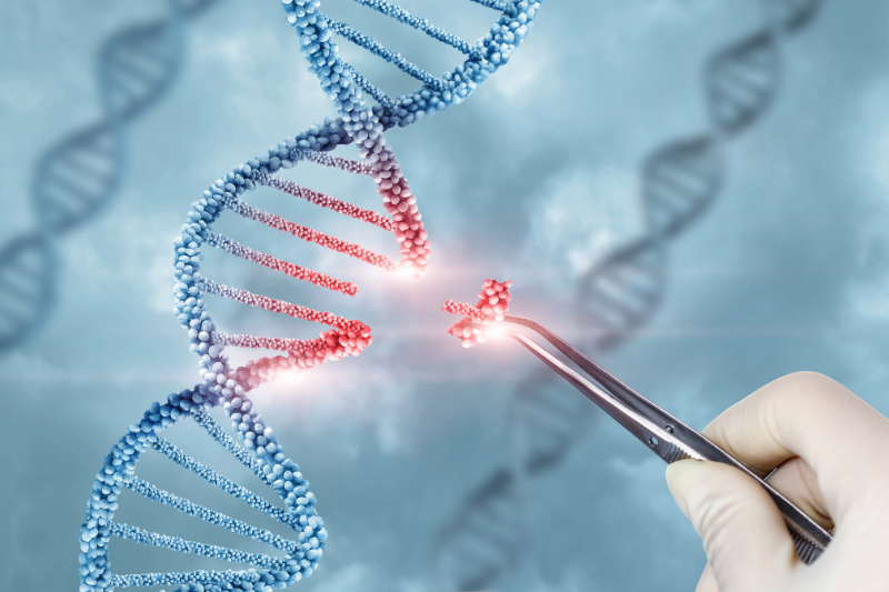 Touchlight expands mbDNA portfolio with new circular DNA formats for advanced gene therapies