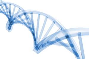 Touchlight to break ground on high-capacity DNA facility