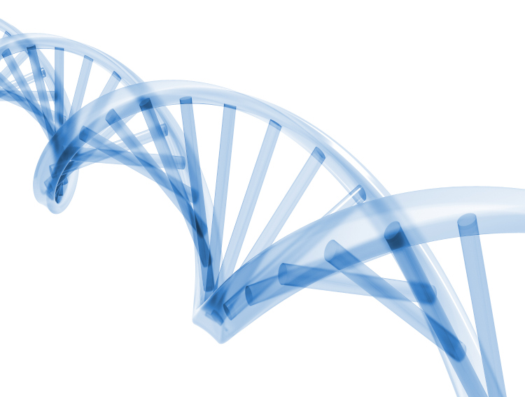 Touchlight to break ground on high-capacity DNA facility