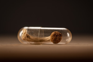 Trump executive order fast-tracks FDA review of psychedelic drugs for serious mental illness