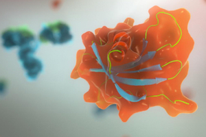 Two US biotech companies licence Affimer reagents for research use
