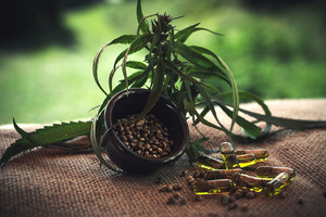 UK medical cannabis: quality under scrutiny
