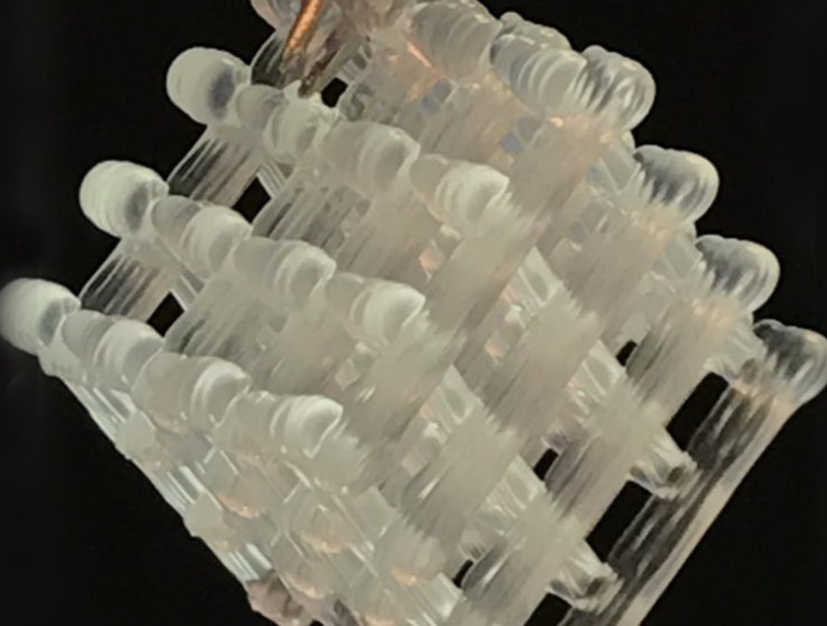 Uni teams develop new hydrogel-based fermentation production method