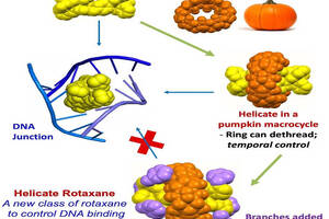 University of Birmingham researchers develop molecule for cancer treatment