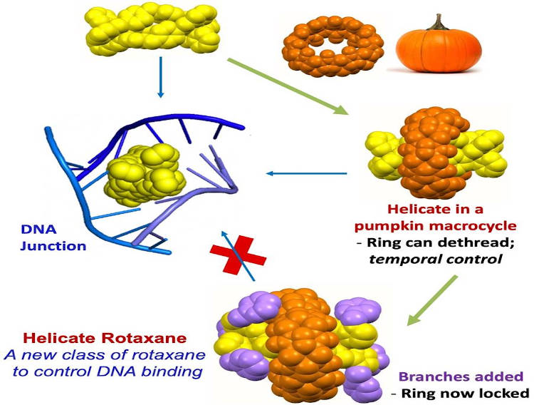 University of Birmingham researchers develop molecule for cancer treatment