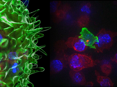 University of Cambridge fosters industry-academia collaborations in therapeutics
